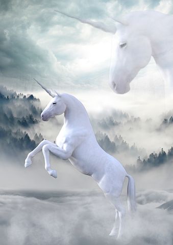Every startup wants to be the next unicorn